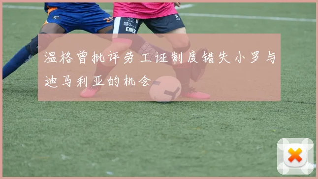 温格曾批评劳工证制度错失小罗与迪马利亚的机会