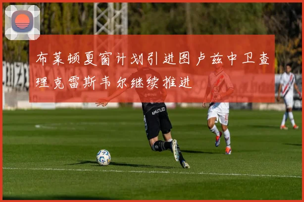 布莱顿夏窗计划引进图卢兹中卫查理克雷斯韦尔继续推进