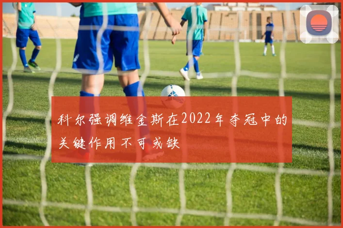 科尔强调维金斯在2022年夺冠中的关键作用不可或缺